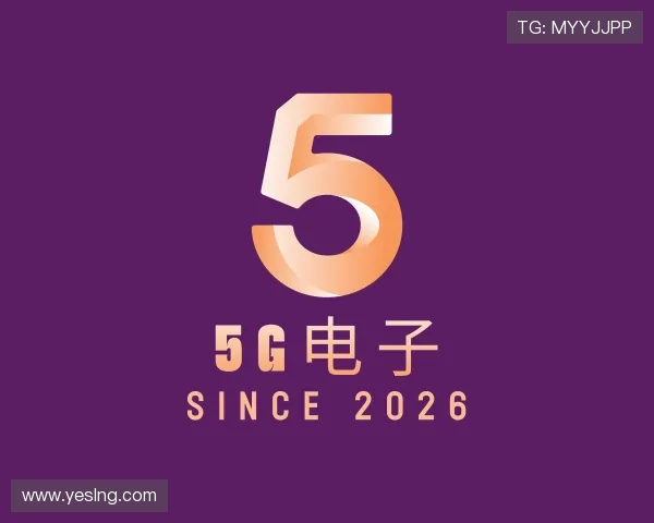 发现YGG电子